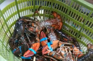 延庆旧城寻味记 探访日用杂品公司周边的地道美食